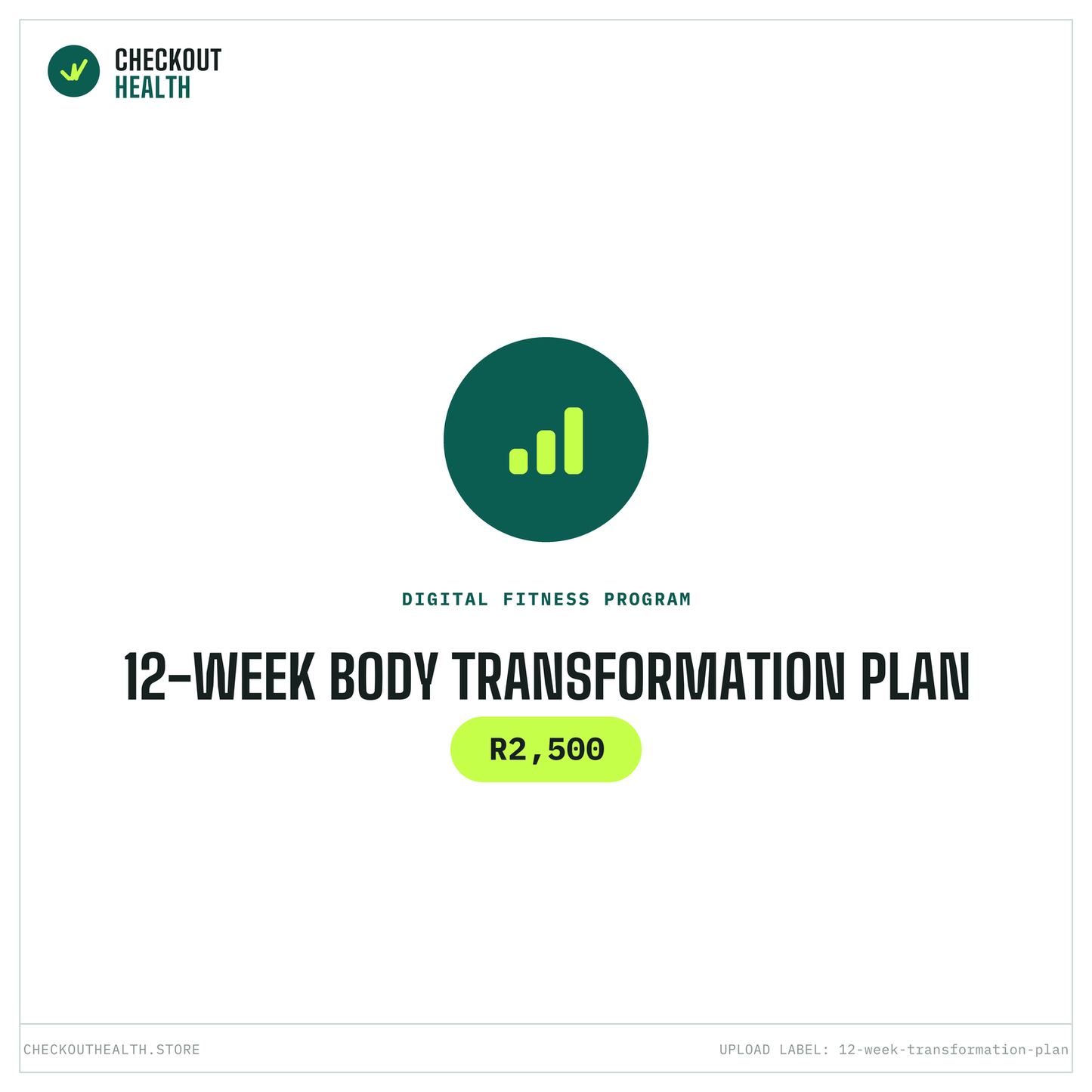 12-Week Body Transformation Plan (Digital)